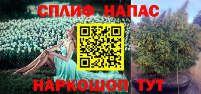 ГАЛЛЮЦИНОГЕННЫЕ ГРИБЫ Будённовск