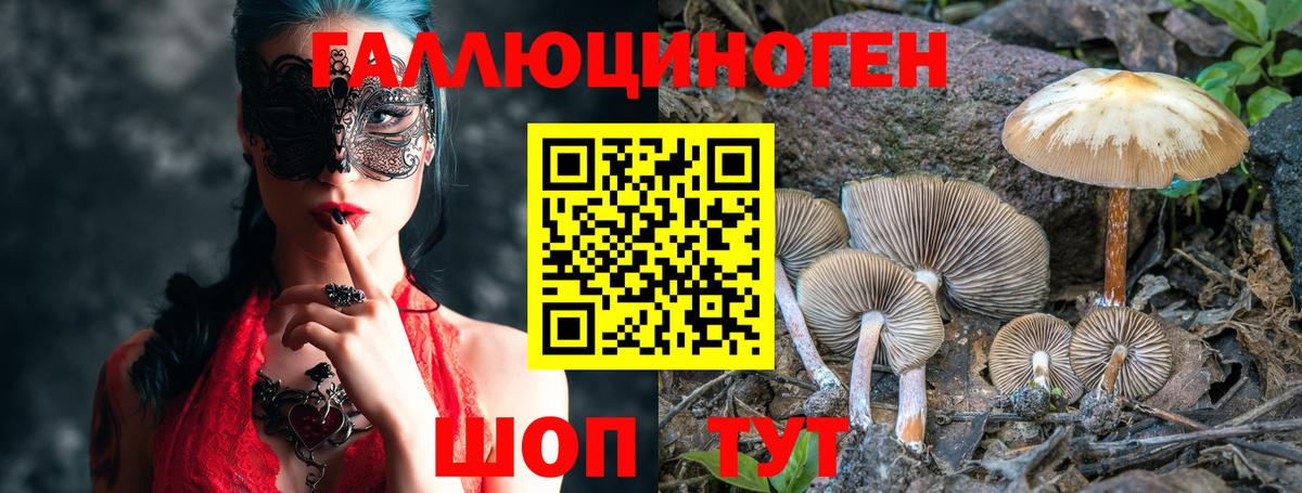 Галлюциногенные грибы Magic Shrooms Кострома
