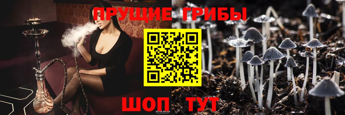 Галлюциногенные грибы Psilocybe  Вход с VPN  Кострома  Псилоцибиновые грибы Psilocybine cubensis 