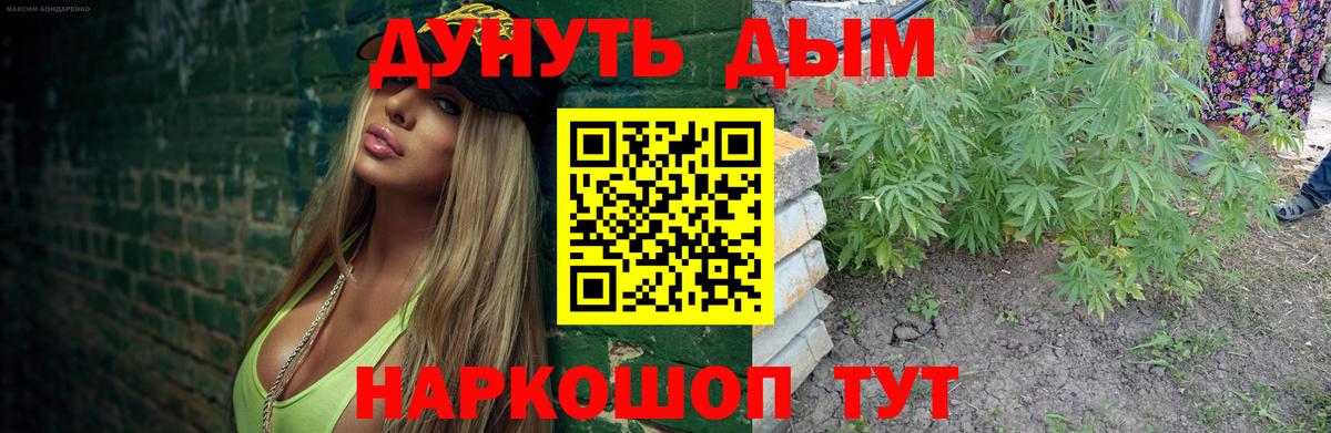 Каннабис конопля Кострома